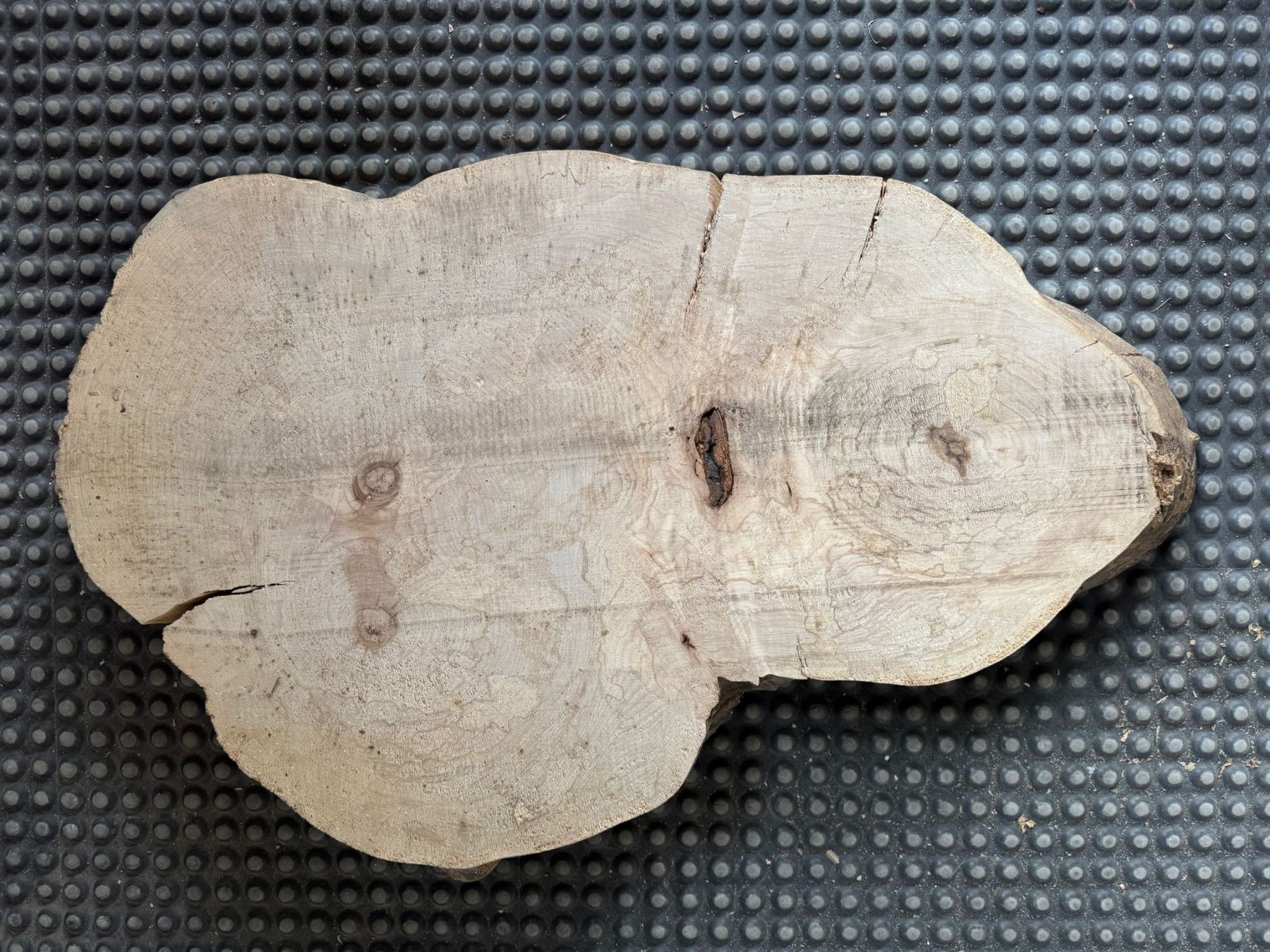 Articoli in legno: Holzscheibe Ahorn – Usato da Seedorf UR venduto da Lochy 1