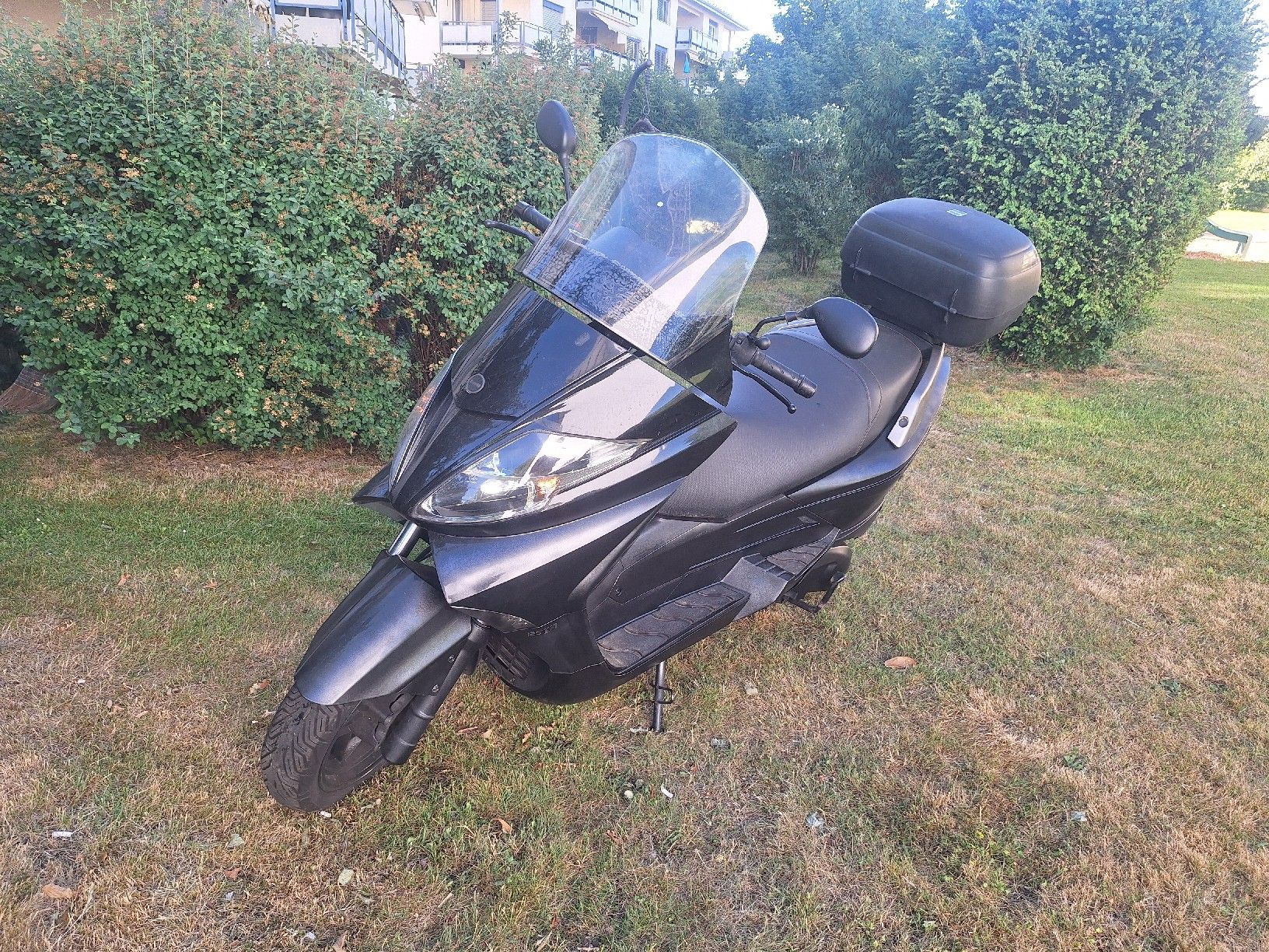 Tell Scooter: Tell 125 i – Difettoso da Muri AG venduto da Misini1973 1