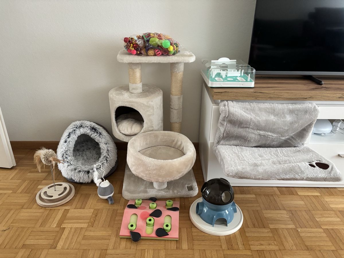 Tiragraffi: Katzen Zubehör Set - gebraucht – Usato da Baden venduto da che_qfy8