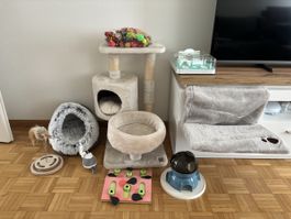 Katzen Zubehör Set - gebraucht