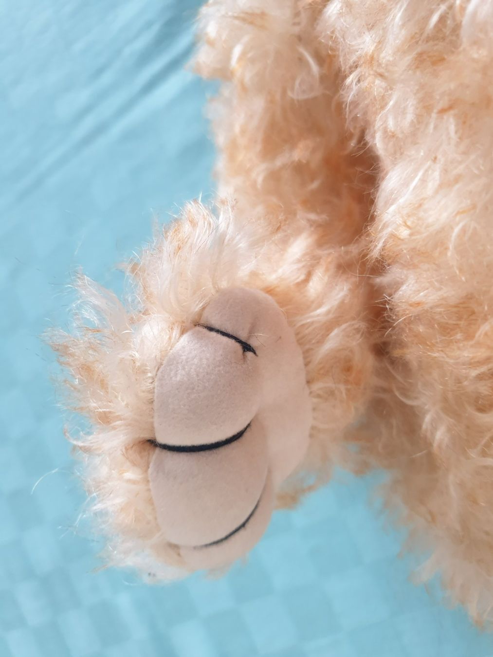 Giocattoli: Teddybär Teddy Be's Hombi Bären Sugar – Usato da Mörschwil venduto da spirspi 3