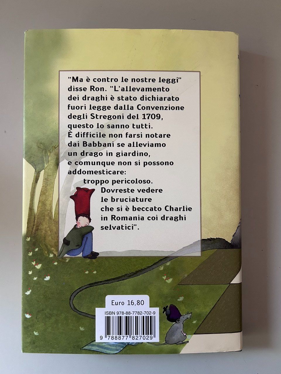 Libri: Harry Potter e la Pietra Filosofale 2007 – Usato da Giubiasco venduto da LorisVale 1
