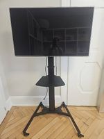 TV Samsung UE46D7080 46 Zoll inkl. Präsentationswagen