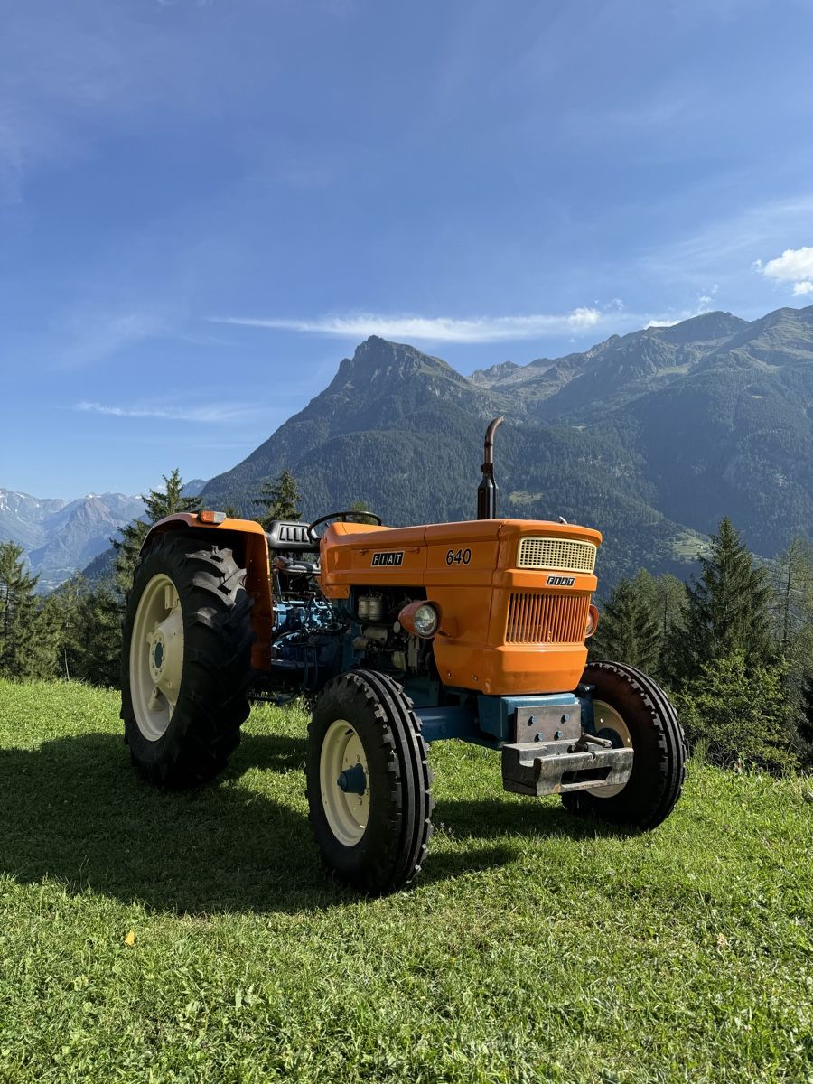 Fiat Trattori: Fiat 640 – Usato da Biasca venduto da mau_jyn2 6