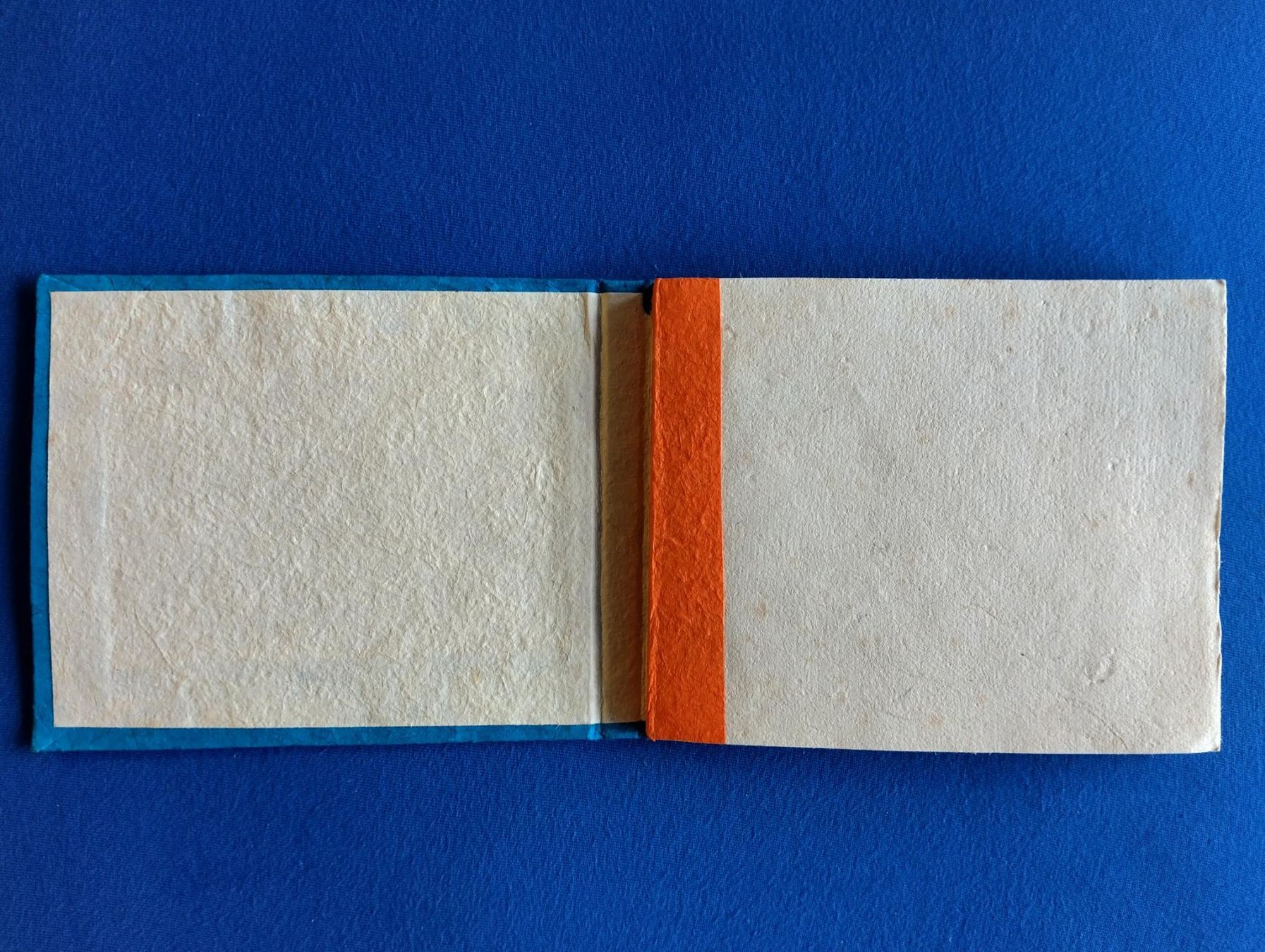 Libri: Nepali Tagebuch – Nuovo (secondo la descrizione) da Bern venduto da Izzyg 1