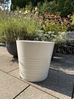 Weisser Blumentopf 