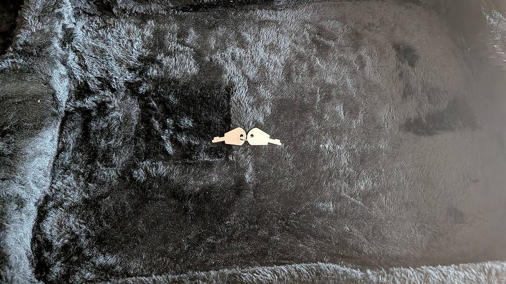 Strumenti musicali: Thomann E-Guitar Case ABS – Usato da Belmont venduto da snoozeboy 3