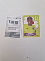Panini Sticker JPN2