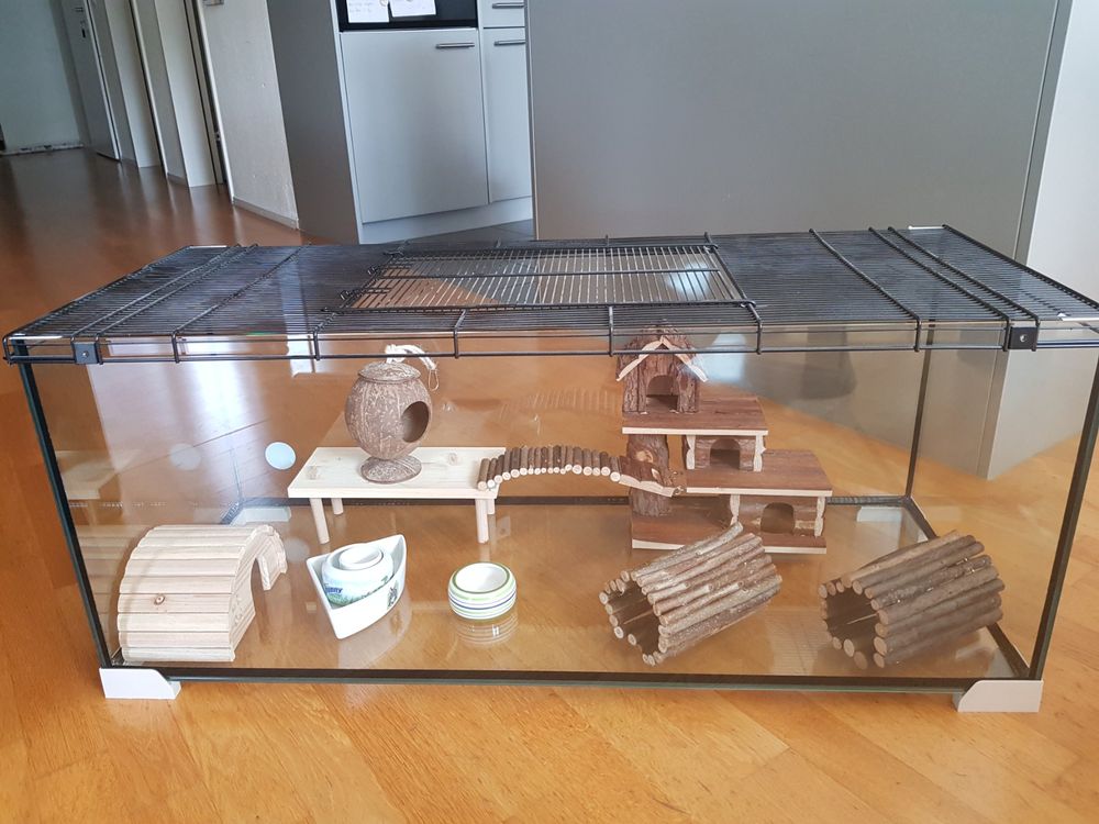 Hamsterkafig Aus Glas