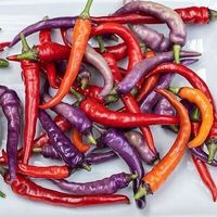 Piment de collection BUENA MULATA  2g