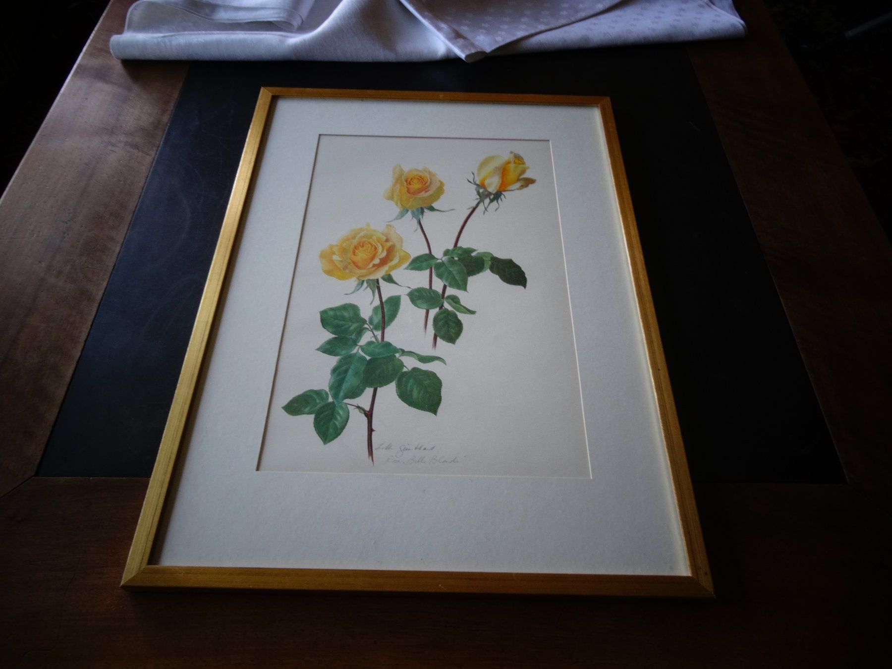 Poster & Bilder: Bild Rosen signiert – Gebraucht aus Neerach von jenny062 3