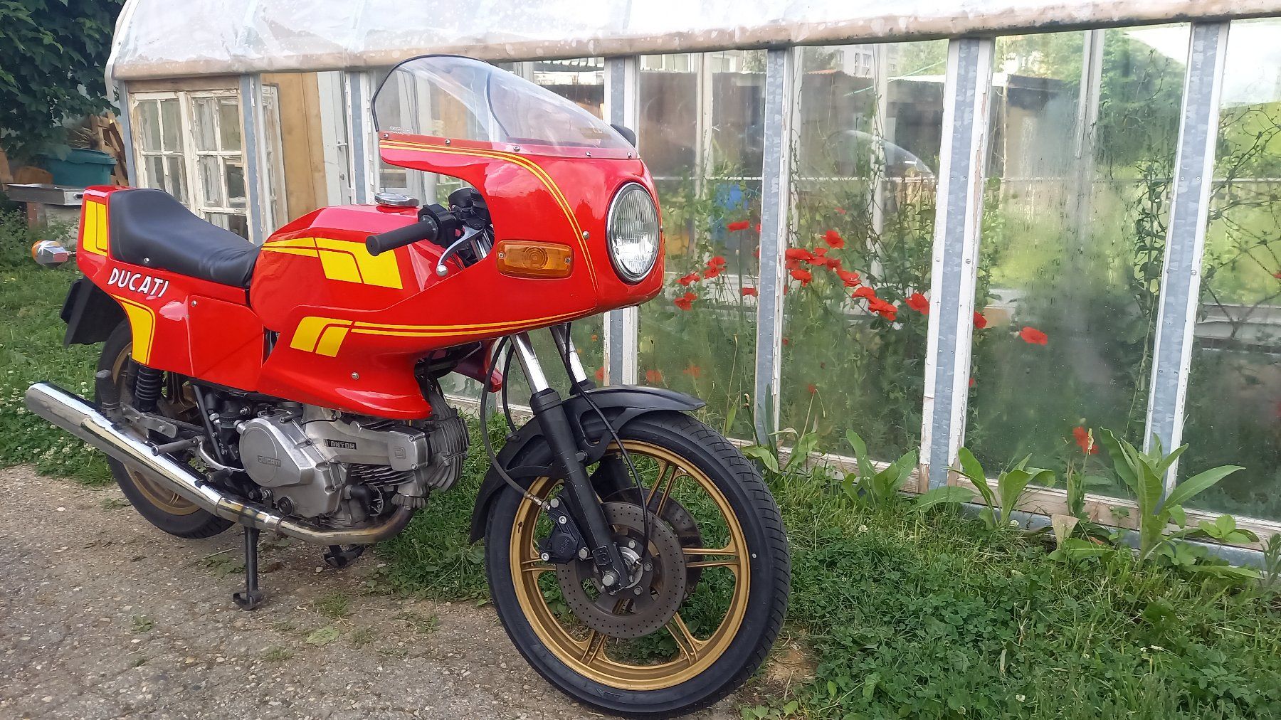 Ducati Strada: DUCATI PANTAH – Usato da La Chaux-de-Fonds venduto da tibaz 1