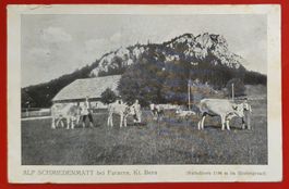 Alp Schmiedenmatt bei Farnern 1930