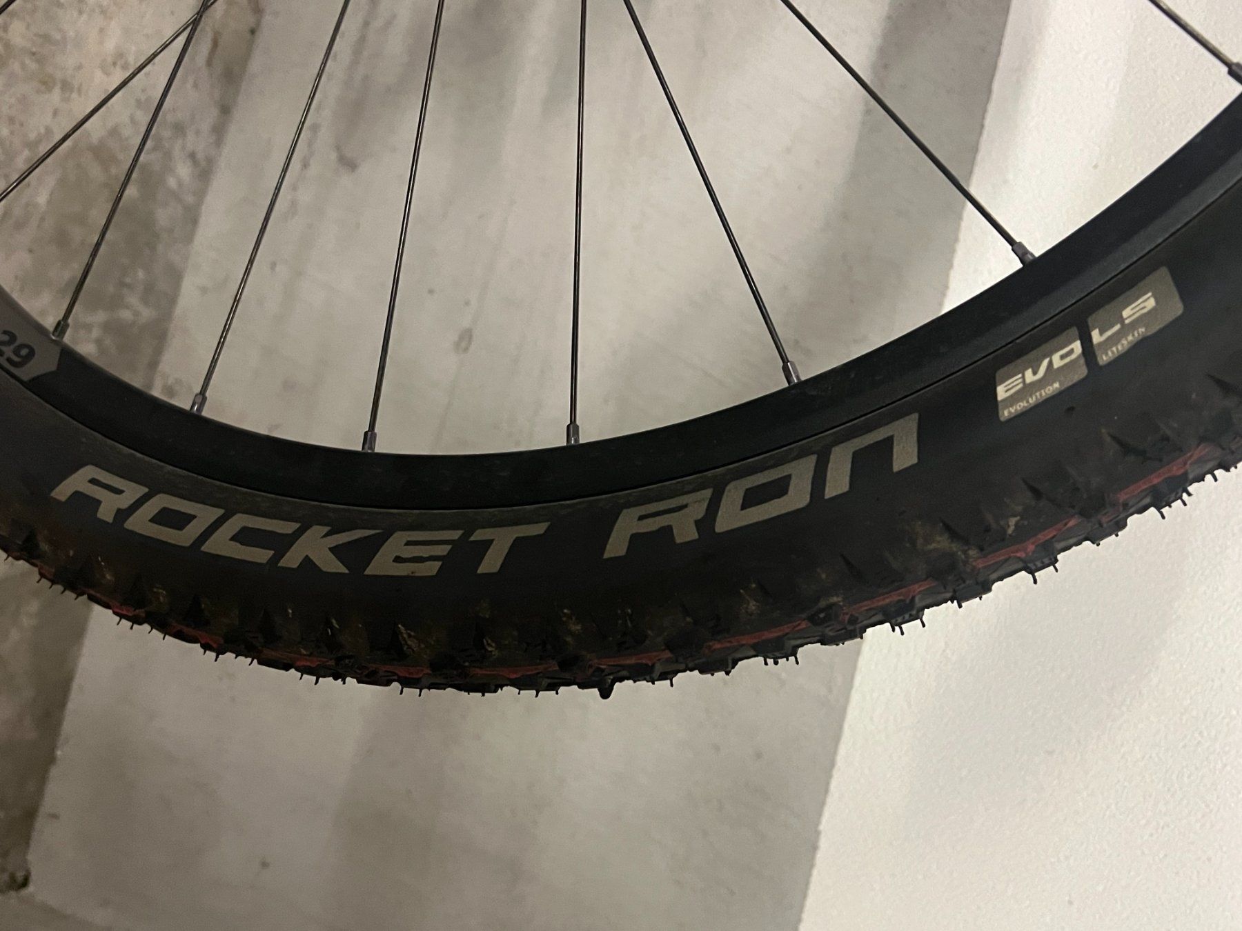 Wheeler Biciclette: MTB WHEELER Eagle Team Edition, 15 Zoll – Usato da Klosters venduto da jasmin-91 3