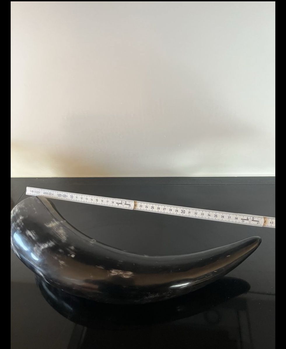 Tutte le decorazioni: Grosses Horn Deko 43cm – Nuovo (secondo la descrizione) da Binningen venduto da mar_nz5s 2
