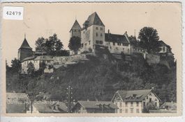 Burgdorf - Schloss mit Schlossberg