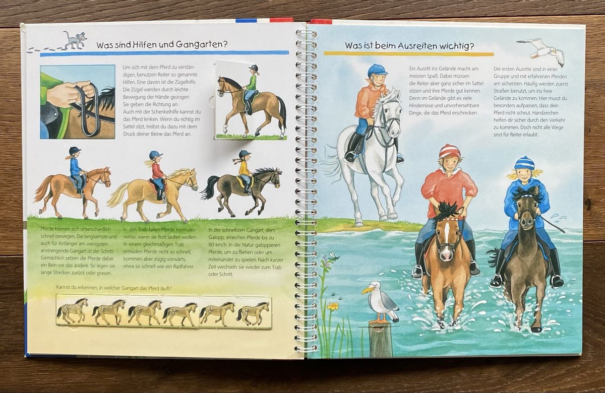 Libri: Bilderbuch Pferde & Ponys – Usato da Pfäffikon ZH venduto da aveo14 3