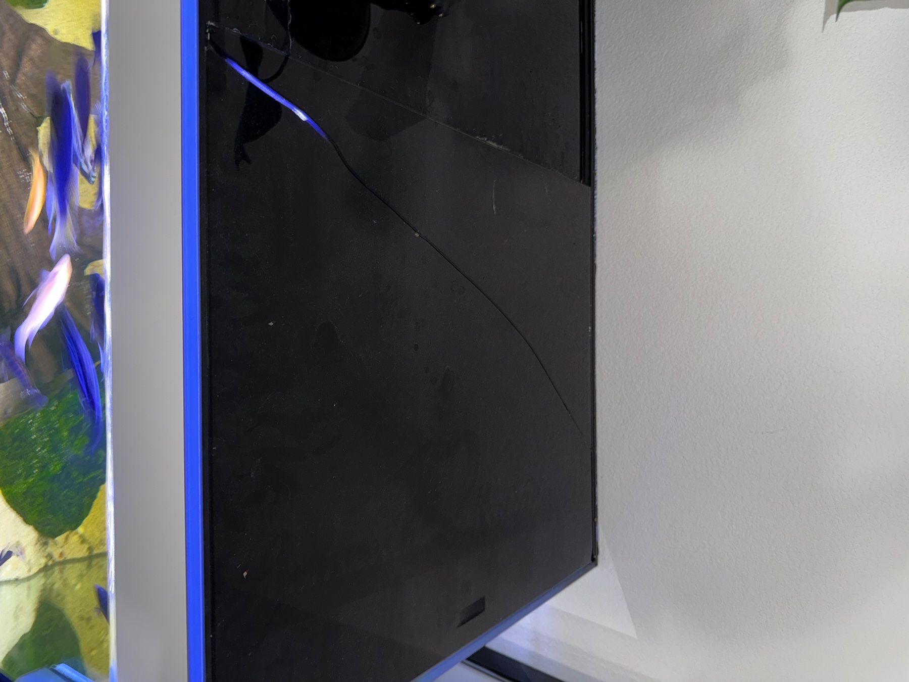 Aquarium: Eheim incipia 330 LED weiss – Gebraucht aus Menziken von Beshi90 5