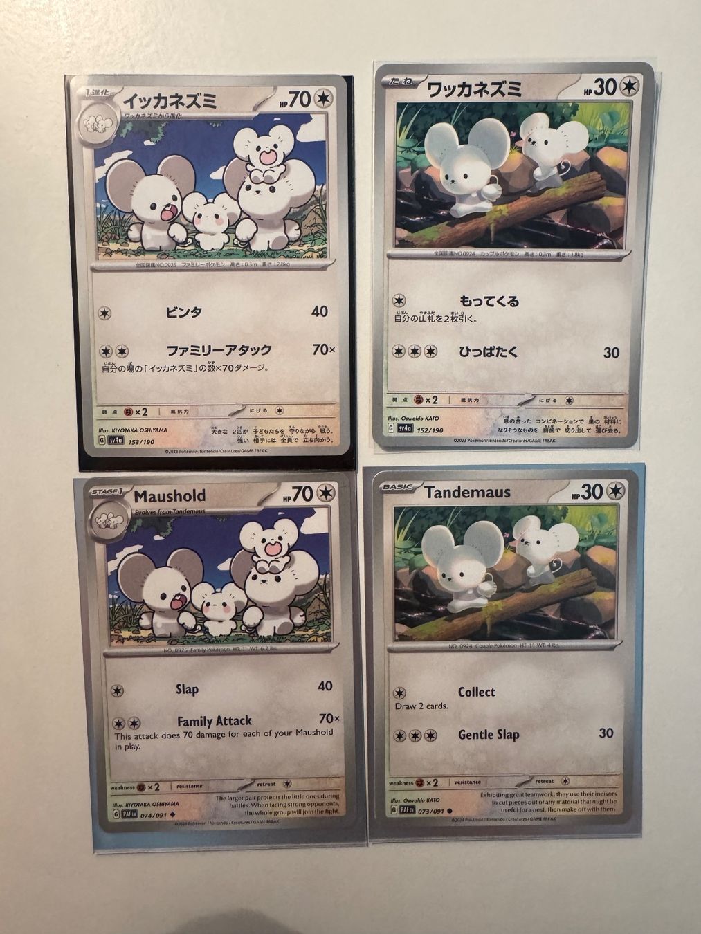 Pokémon Carte collezionabili: Maushold and tandemaus – Nuovo (secondo la descrizione) da Lumino venduto da mar_9pn2