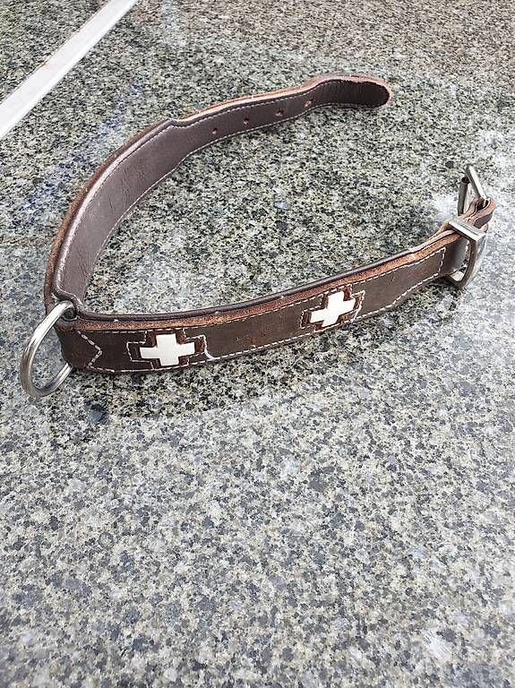 Guinzagli & Collari: Hunde echt Leder Halsband – Usato da Rickenbach LU venduto da trucker.s 1