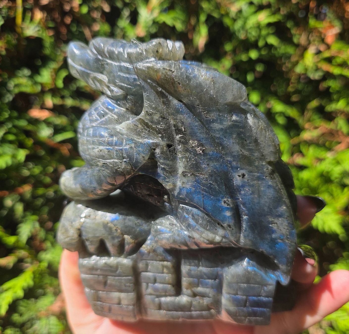 Mineralien & Heilsteine: 💙 Labradorit Drache mit Top Flash 💙883g – Neu und originalverpackt aus Matzingen von Shay_Crystalz 1