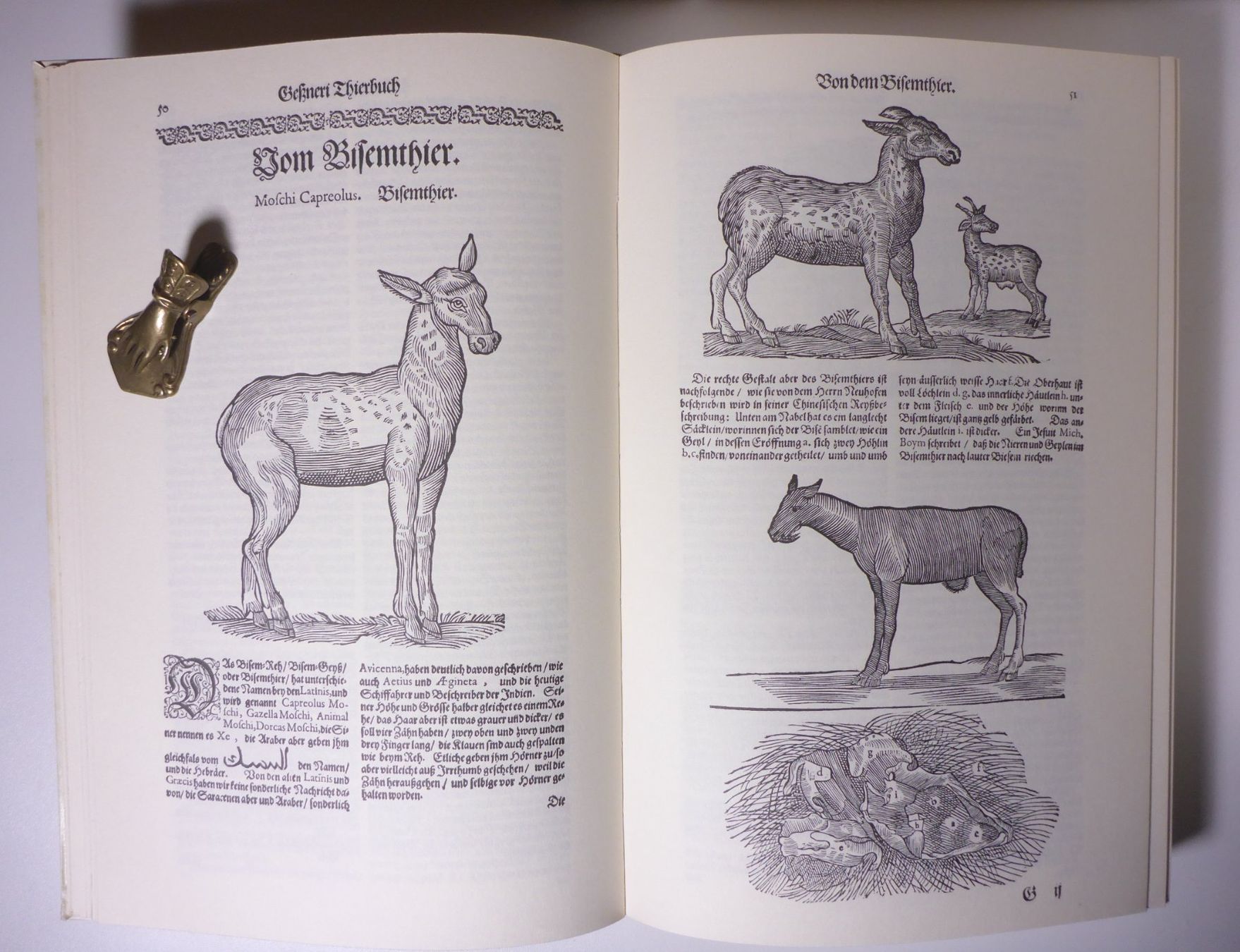 Bücher: Conrad Gesner: Thierbuch – Gebraucht aus Erschwil von taglang 2