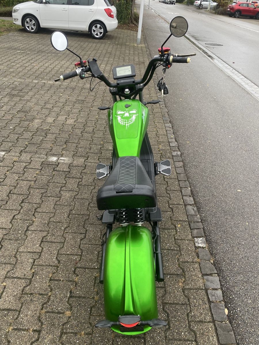 Scooter: E roller HL 6.0 – Usato da Grellingen venduto da OCC_ASION01 2