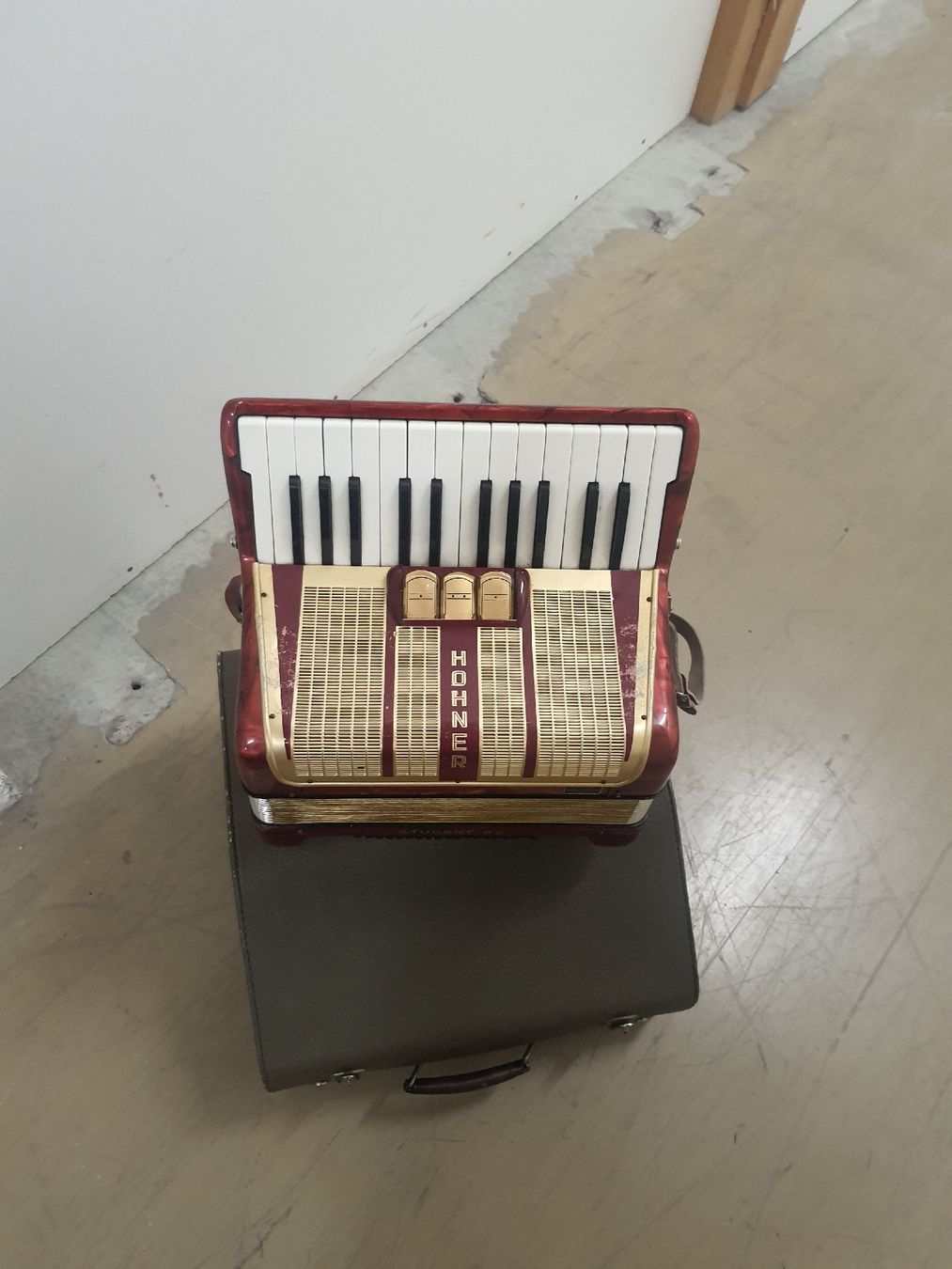 Hohner Strumenti musicali: accordéon hohner à piano  – Usato da Pont-de-la-Morge venduto da Mirabelle0 5