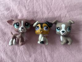 x3 Littlest Pet Shop (1585 + 803 + 1463) Dogs