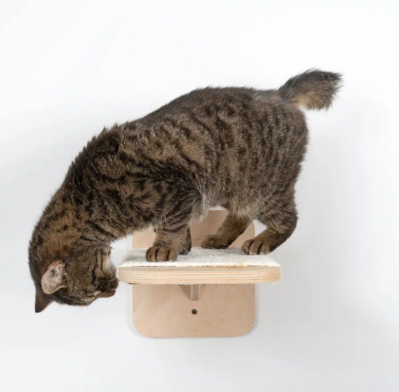 Tiragraffi: Katzen Sisalplattform – Usato da Zürich venduto da zie_ngg8