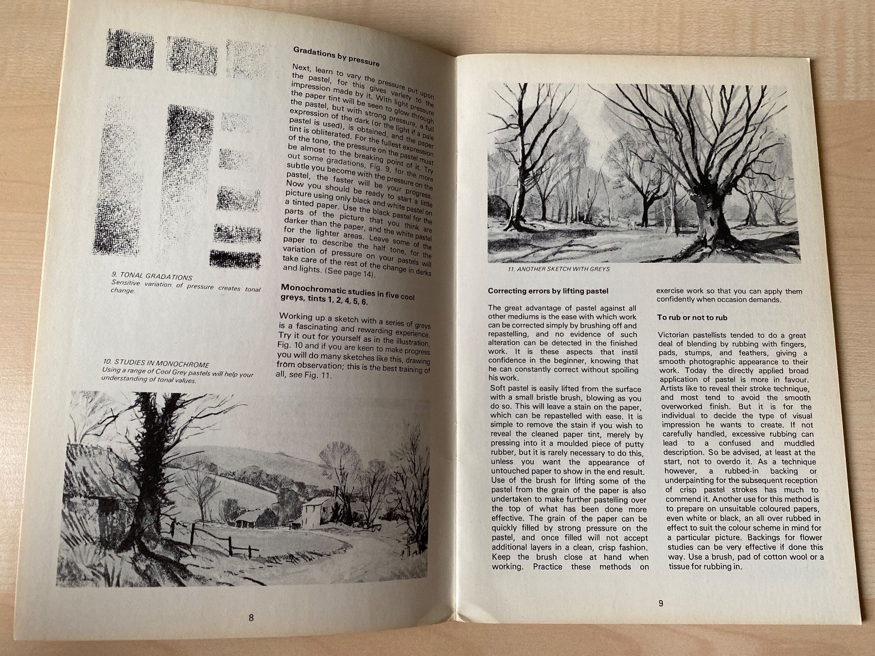 Bücher: Buch painting with pastels – Gebraucht aus Bülach von Jackybabue 3