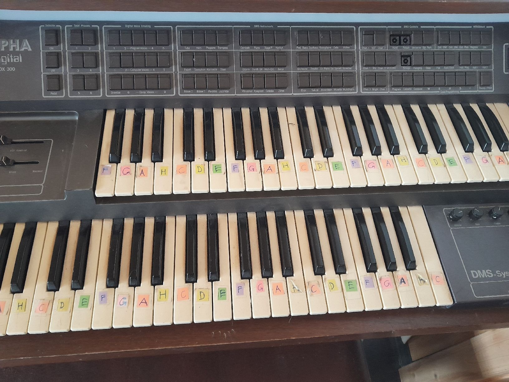 Musikinstrumente: WERSI-Orgel Alpha Digital DX 300 – Gebraucht aus Linden von mat_p6xr 1