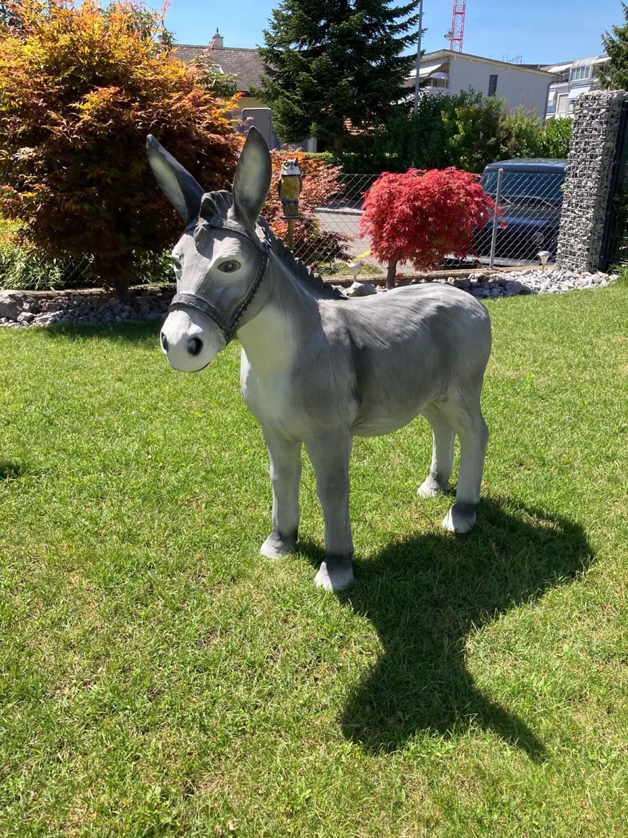 Tutte le decorazioni: Esel Figur Deko in – Usato da Bern venduto da sts_5kjj