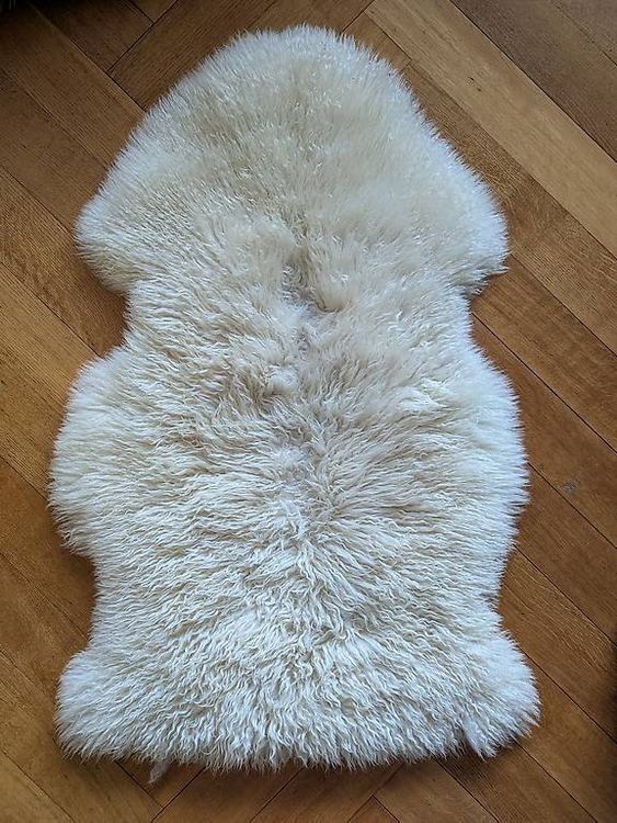 2 tapis Ludde Ikea, blanc et marron (D'occasion) à Chêne Bougeries pour ...