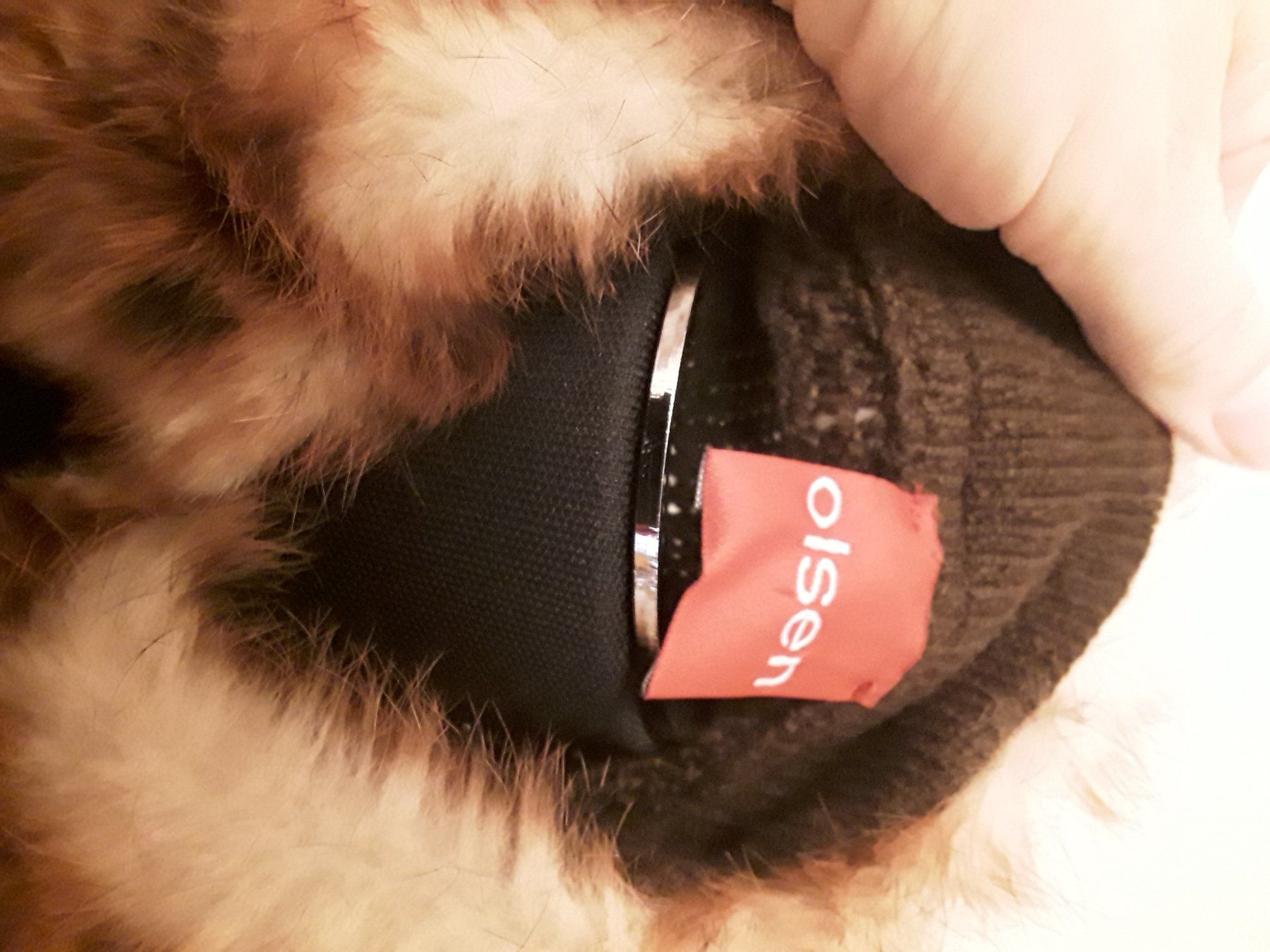 Maglioni & Felpe: Pullover – Usato da Brugg AG venduto da Ljubinka0410 2