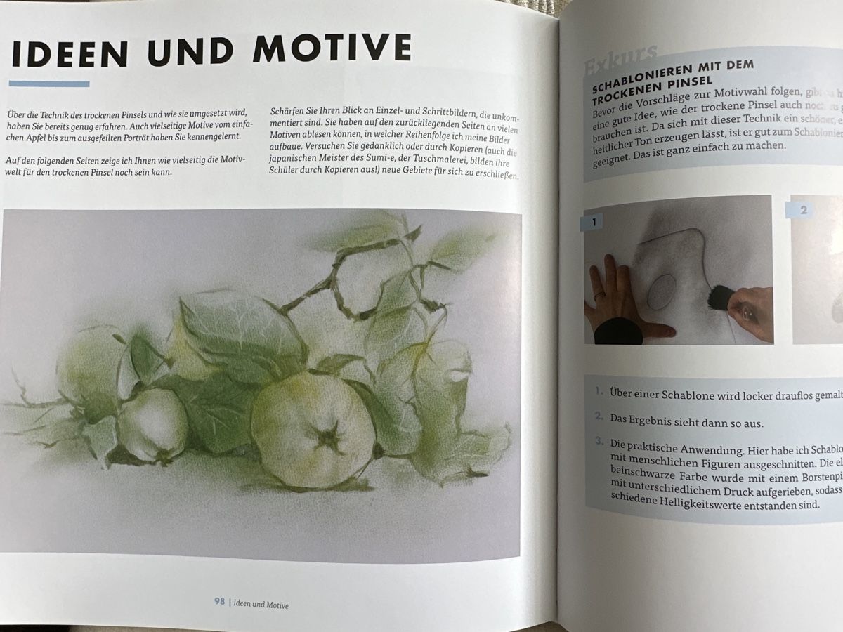 Libri: Nadja Sasch Der trockene Pinsel – Nuovo (secondo la descrizione) da Bern venduto da schnupka 5