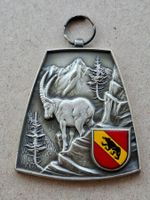 Steinbock (U843)
