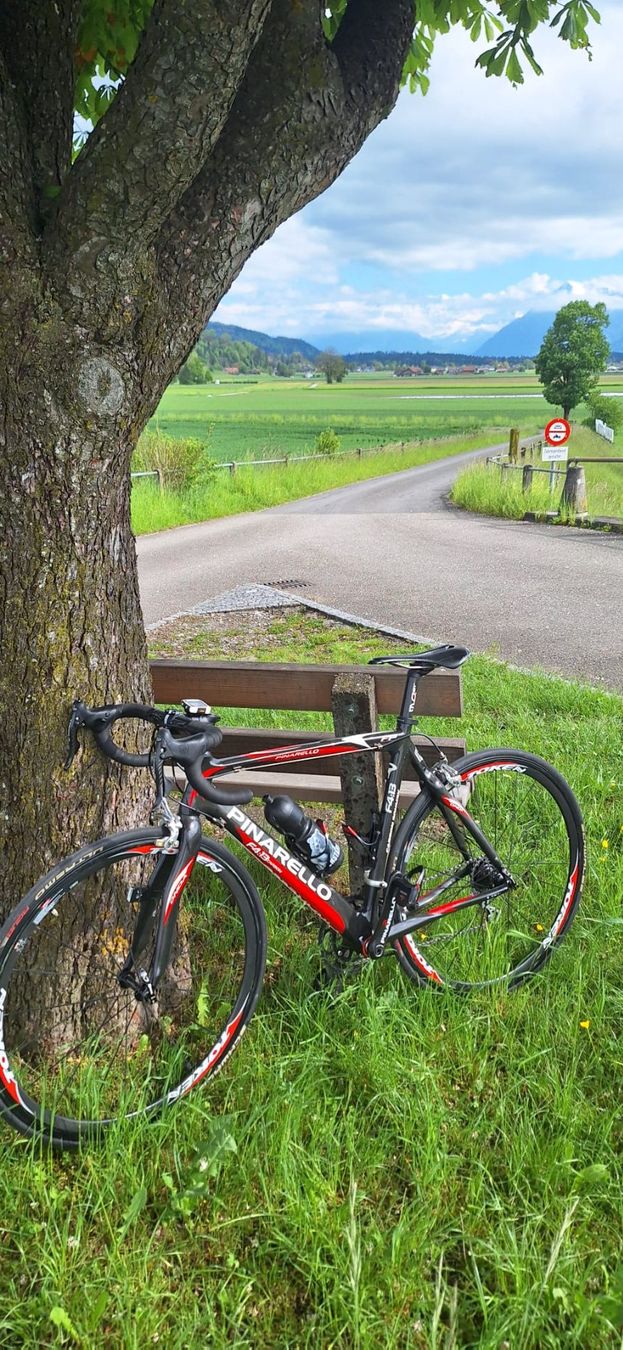Pinarello Biciclette: Carbonfaser pinarello rennvelo – Usato da Rubigen venduto da djn_hwr9