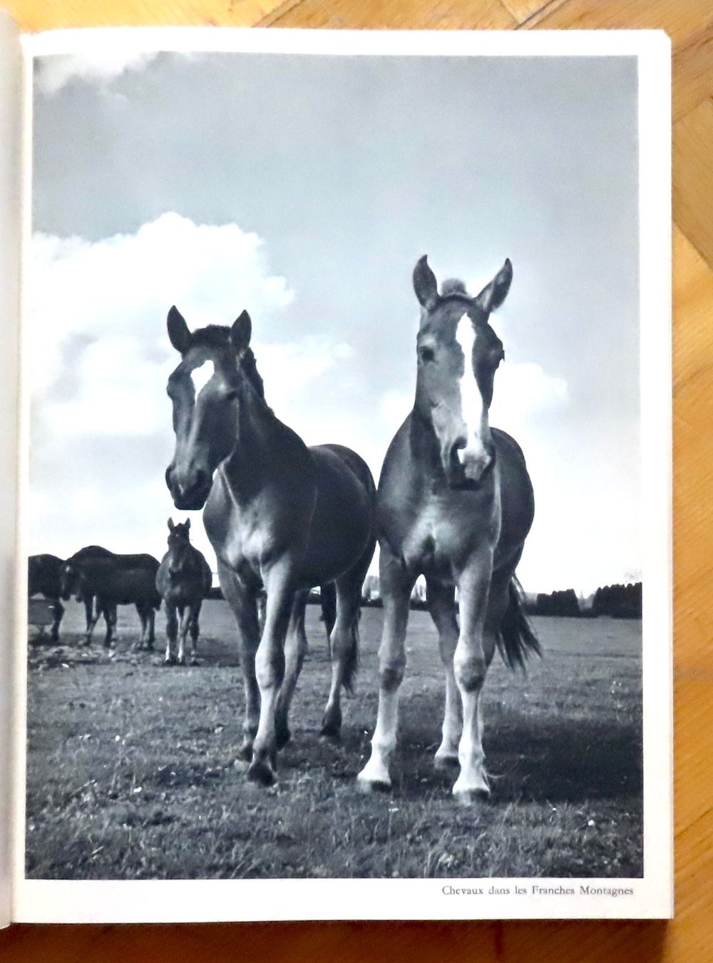 Bücher: Charles-Ferdinand Ramuz - La Suisse romande – Gebraucht aus Le Locle von LibrairieLaBergerie 1
