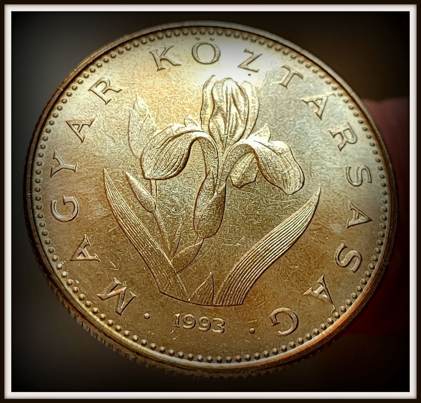 Tutti le monete: UNGARN 20 FORINT 1993 – Usato da Winterthur venduto da Creso70 1