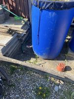 Regentonne, 2 Stk,Top Zustand, Garten, Sommer
