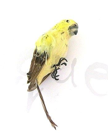 Statuette: Deko Wellensittich – Usato da Schlatt TG venduto da mavo85