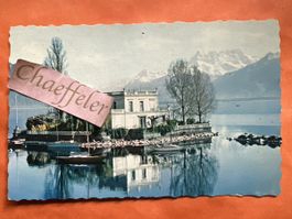 Ansichtskarte Lac Leman Ile de Salagnon et les dents du Midi