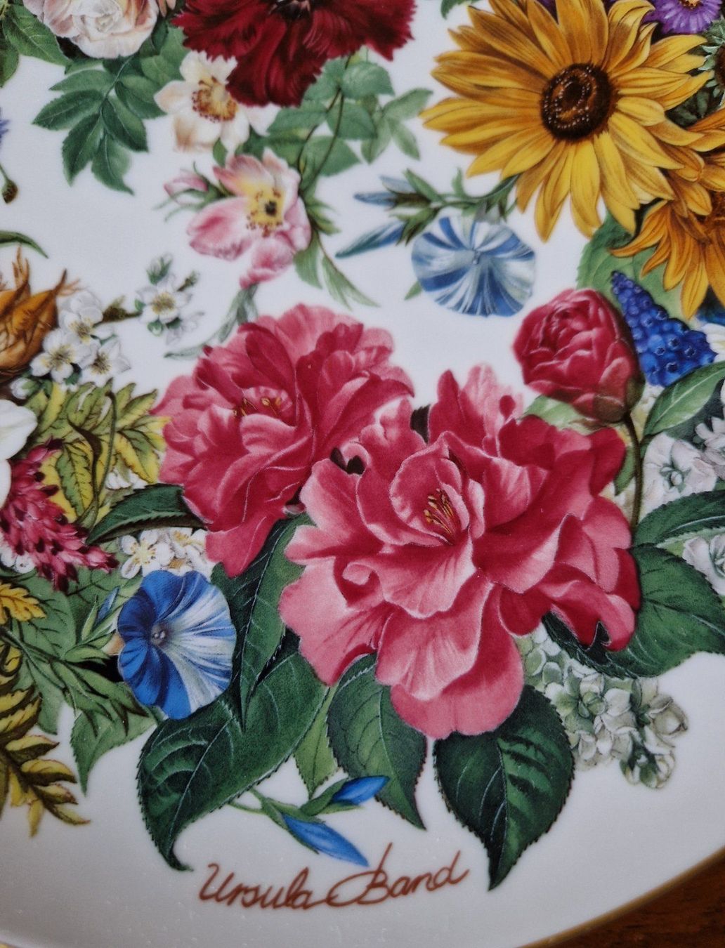 Hutschenreuther Teller: Sammelteller/Wandteller Hutschenreuter – Neu (gemäss Beschreibung) aus Bern von Antikbatik 3