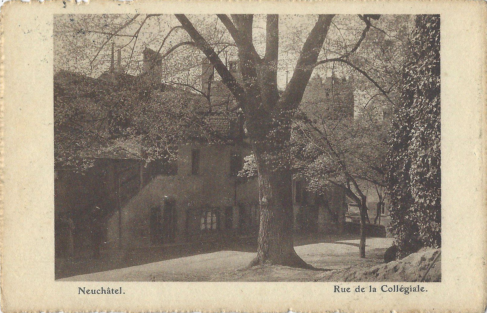 Cartoline postali: Neuchâtel.    Rue  de  la  Collégiale. – Usato da Bütschwil venduto da Jackson1A
