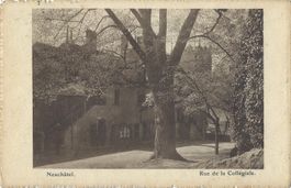 Neuchâtel.    Rue  de  la  Collégiale.
