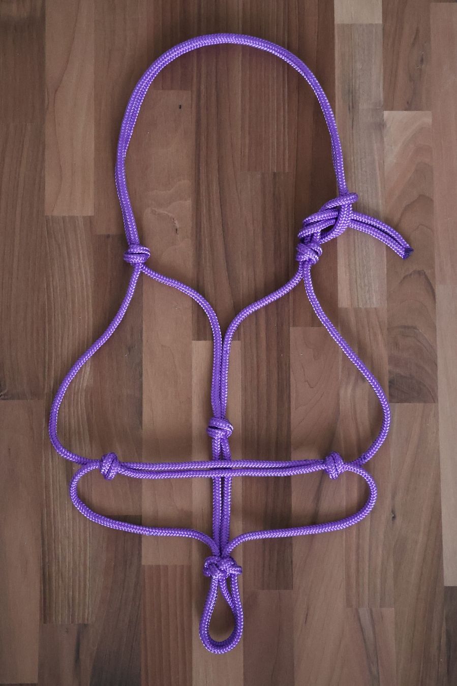 Briglie & Cavezze: Knotenhalfter Pony / Cob – Nuovo (secondo la descrizione) da Meggen venduto da Orrinka20