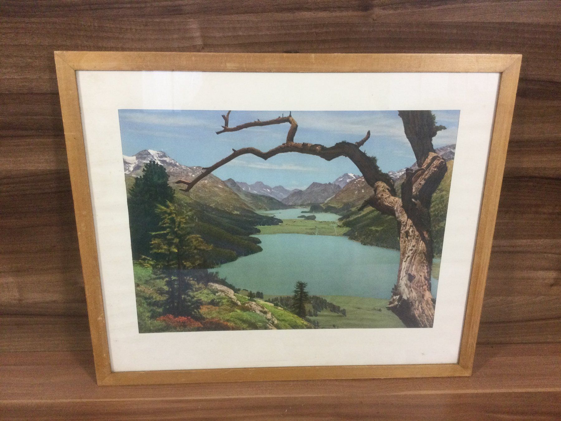 Foto & Immagini: Albert Steiner Ansicht Silsersee mit typischer Bergkulisse – Usato da Wangen SZ venduto da kuriosum12 3