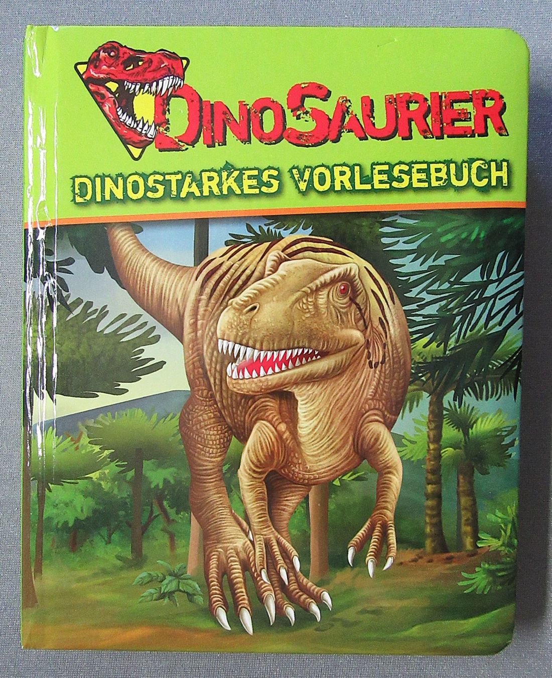 Bücher: Dinosaurier - Dinostarkes Vorlesebuch - Kindersachbuch – Gebraucht aus Auenstein von Padabimbim