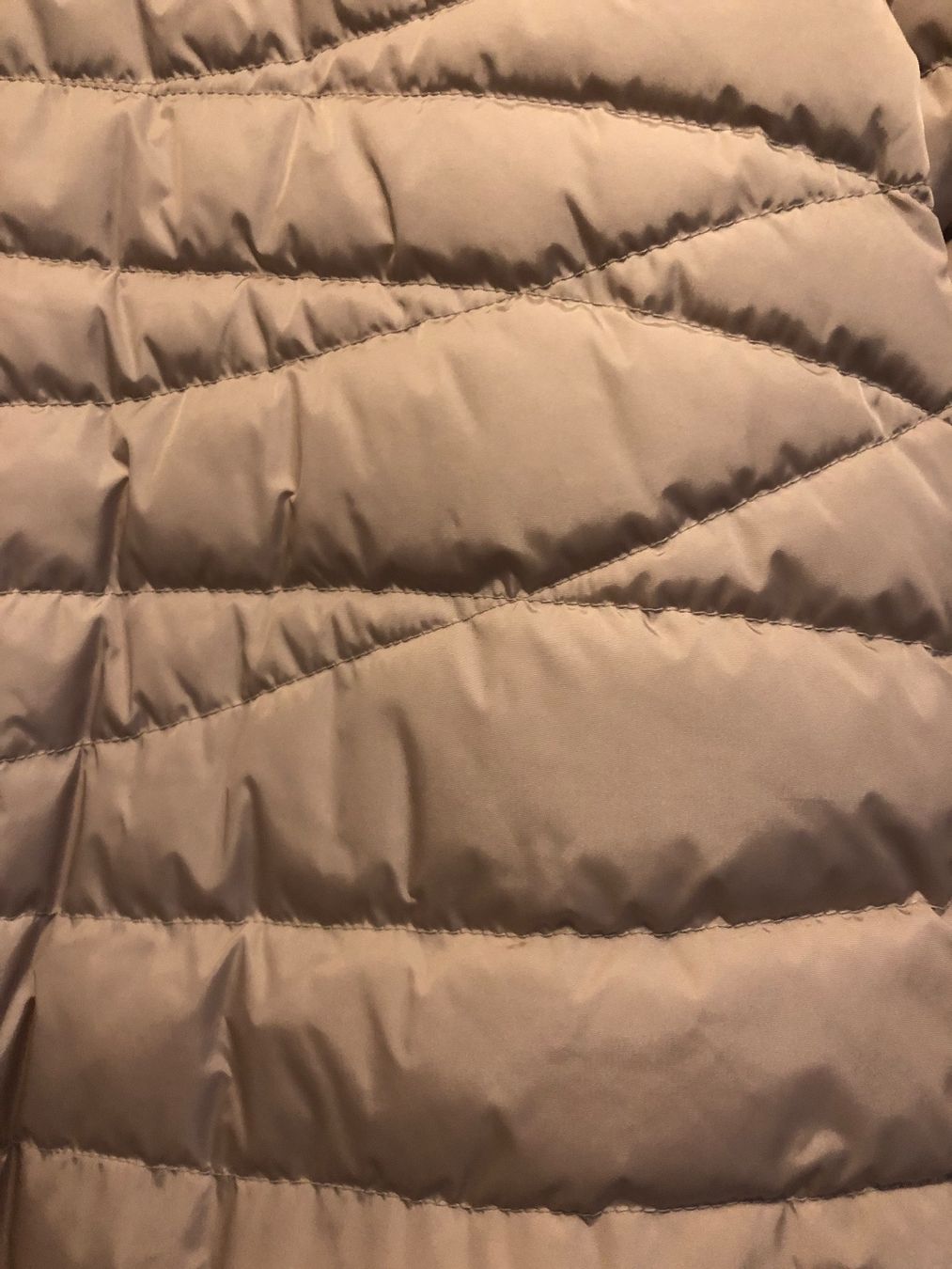 Bogner Giacche: Bogner Daunenjacke - Limited Edition – Nuovo (secondo la descrizione) da Buchs-ZH venduto da Frauenkleidermarkt 7